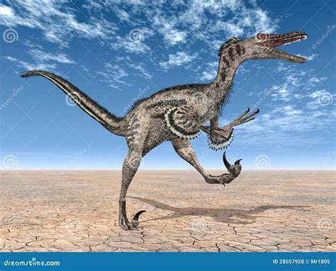 Velociraptor stock illustration. Illustration of extinct - 28557928