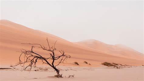 When Life Seems Like A Dry Desert Land Our Soul Gets Thirsty