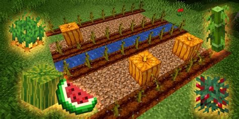 Best Crops To Farm In Minecraft