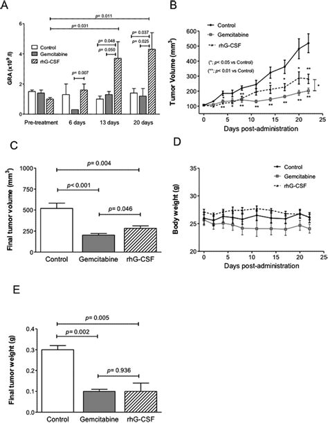 In Vivo Antitumoral Activity Of Rhg Csf In An Xenograft Model Of