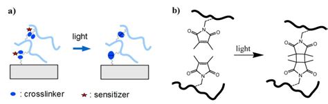 A Schematic Representation Of A Dimerization Process Requiring Two