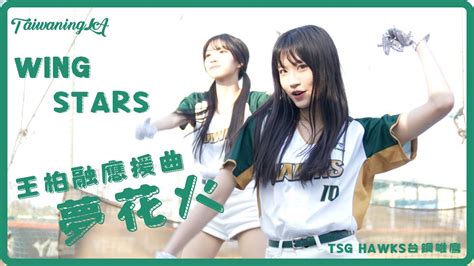 台鋼wing Stars 李樂 完整版【夢花火】 王柏融應援曲 終於有一段完整的夢花 聽到大家一起喊出柏融大王真的很熱血 棒球