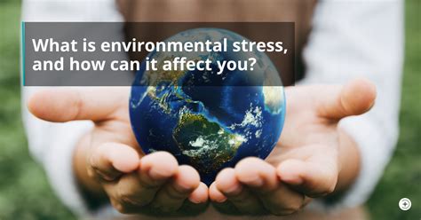 What Is Environmental Stress And How Can It Affect You First Aid