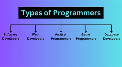 Types Of Programmers A Comprehensive Look Top Firm