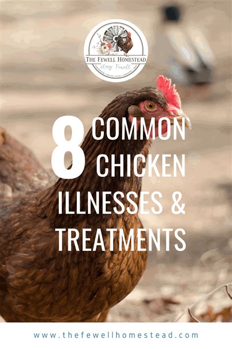 8 Common Chicken Illnesses How To Treat Them Amy K Fewell