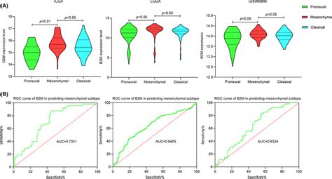 The Expression Pattern And Predictive Role Of Beta‐2 Microglobulin