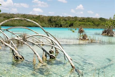 Ecosistemas De Quintana Roo Los Conoces Info Quintana Roo