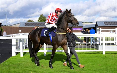 Rock Of Star Trainer Update Racehorse Ownership