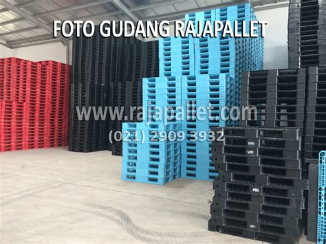 Pallet Plastik Jual Pallet Plastik 2024