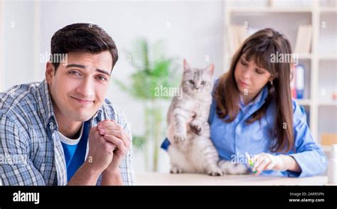 The Cat Being Examining In Vet Clinic Stock Photo Alamy