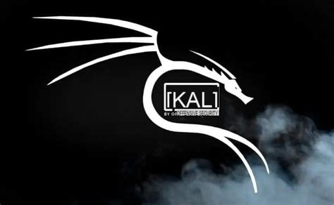 How To Use Kali Linux