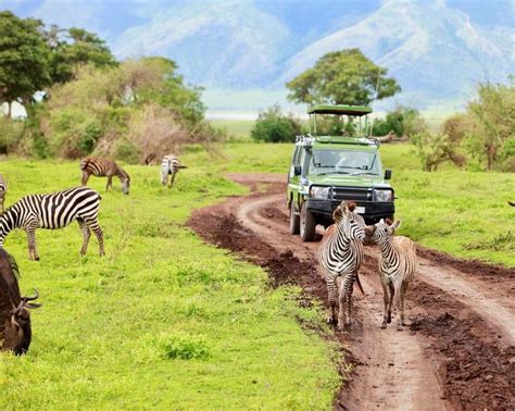 Safari Serengeti Nationalpark Eine Woche Sansibar Ab 3844