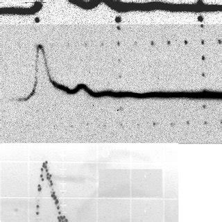 Oscillograms Of Pulses Compressed In Sbs Down To Subnanosecond