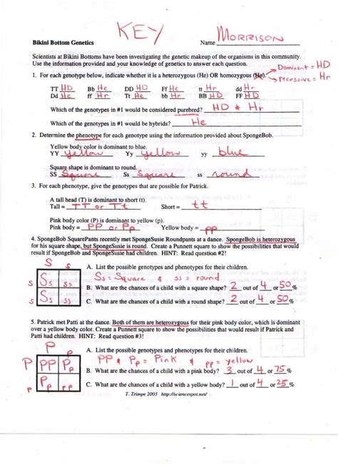 Monohybrid Cross Problems Worksheets