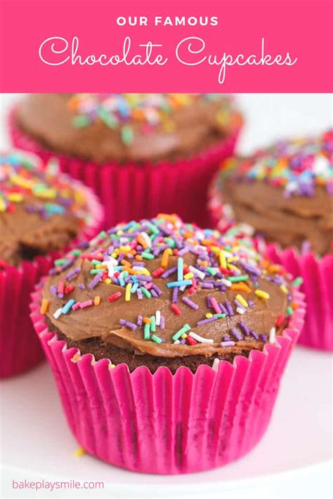 Chocolate Cupcake With Pink Icing