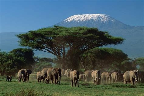 Arusha National park - Intare Safaris