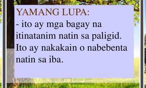 Katangian Ng Yamang Dagat Yamang Lupa Yamang Kagubatan Brainlyph