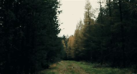 Nature GIFs - Find & Share on GIPHY