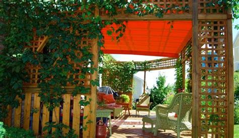 Pergola Plants Guide Shade And Enhance Your Outdoor Space Pergola