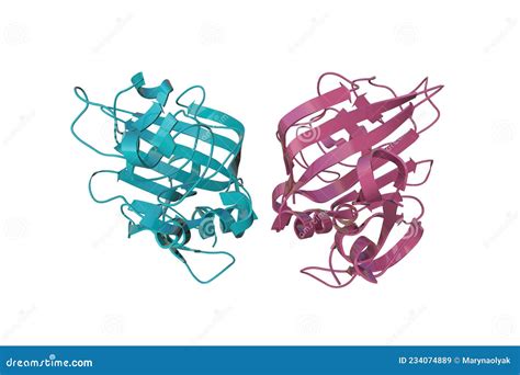 Crystal Structure Of Angiopoietin Fibrinogen Related Domain Ribbons