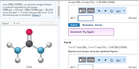 Solved Urea NH 2CONH 2 An Important Nitrogen Fertilizer Chegg