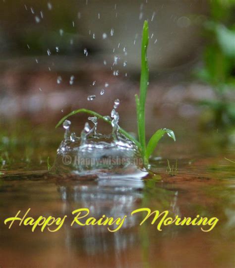 Happy Rainy Day Wallpaper - 768x877 - Download HD Wallpaper - WallpaperTip