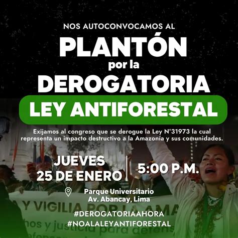 Convocan A Movilizaci N En Contra De La Modificaci N De La Ley Forestal