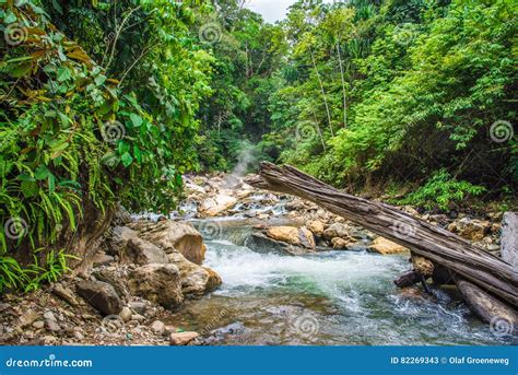 Beautiful Hot Springs In The Jungle Stock Image Image Of Springs Beauty 82269343