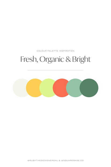 Fresh Organic And Bright Colour Palette For Your Brand Or Squarespace Website Color Palette