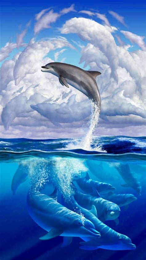 Pretty Dolphin Wallpapers