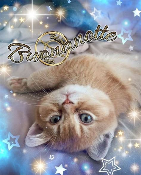 Pin Di ANNA MARIA Su Buona Notte Auguri Di Buona Notte Buonanotte