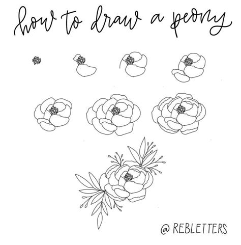 How To Draw Peony Step By Step At Drawing Tutorials