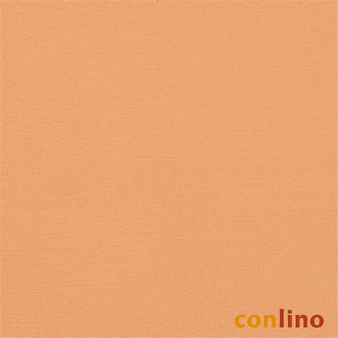 Naturbauhof Prenzlau Shop Conlino Lehmglätte arancio 5 kg RW ca 25