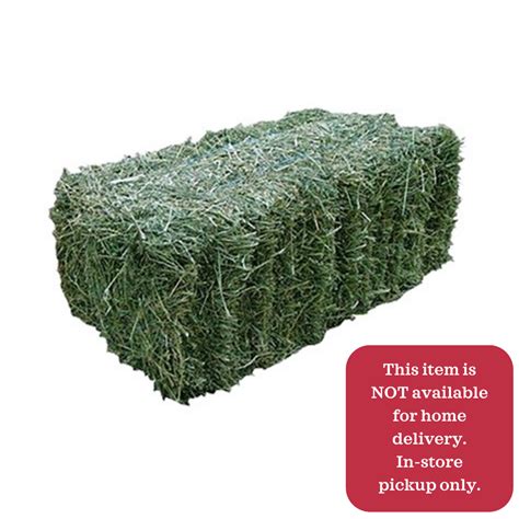 Alfalfa Hay Bales | contabilidadecidada.com.br