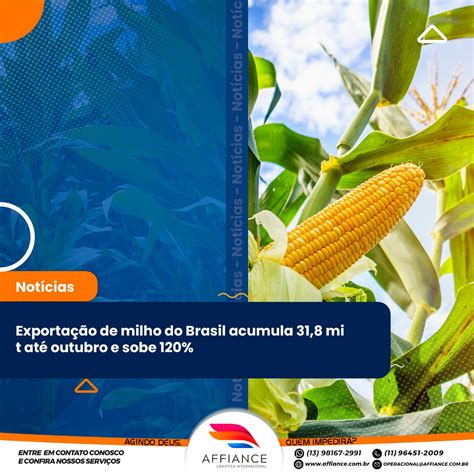 Exportação De Milho Do Brasil Acumula 318 Mi T Até Outubro E Sobe 120