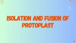 Isolation and Fusion of Protoplast - Pharmanotes