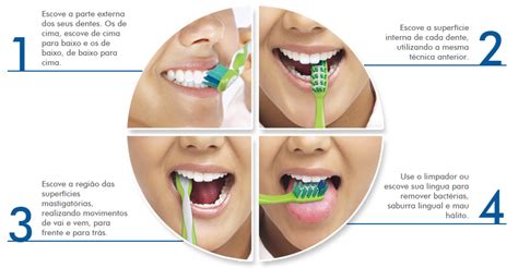 Como Escovar Os Dentes Century Corretora De Planos De Sa De Sp