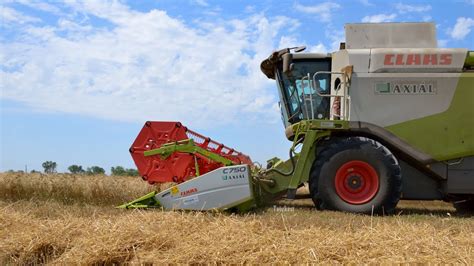 Claas Lexion 650 Búza Aratás YouTube