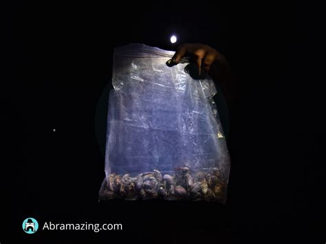 Taste of Abra: Abal-abal - Abramazing