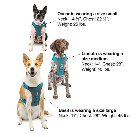 how to measure a dog for a harness 2