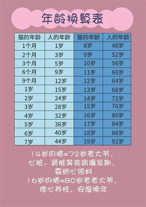 猫咪一岁人7岁，原来是错的，附上最新年龄换算表