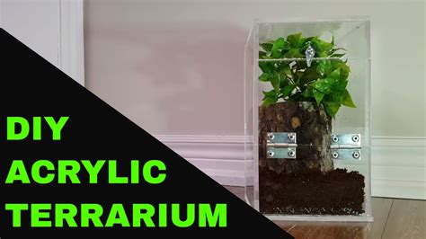 Acrylic Terrarium DIY YouTube