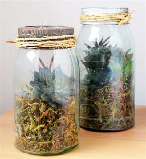 DIY Terrarium in a Mason Jar | DIYIdeaCenter.com