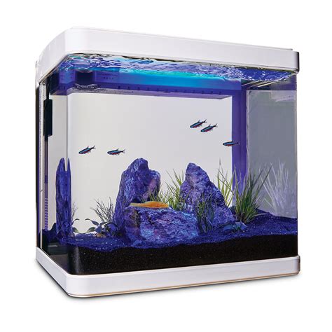 Imagitarium Freshwater Cube Aquarium Kit, 5.2 GAL | Shop Your Way ...