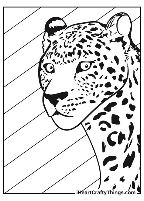 Leopard Print Coloring Page