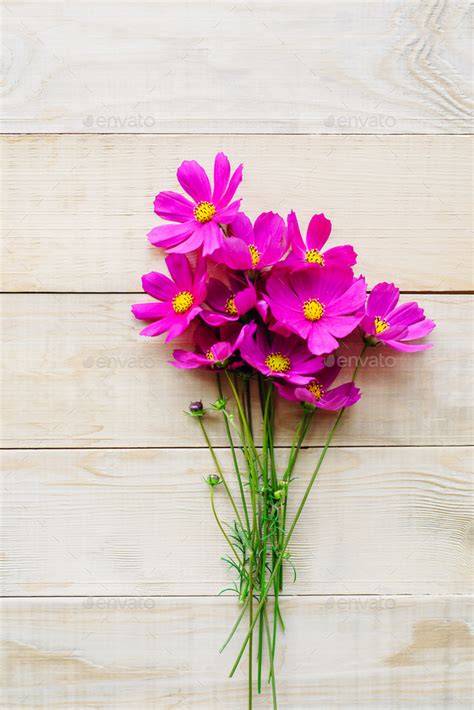 bouquet of cosmos flower Stock Photo by apagafonova | PhotoDune