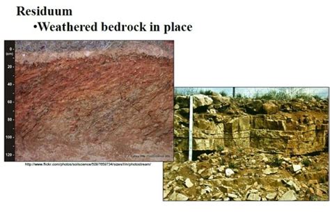 Eco Regions Soil Forming Processes Controled Soils Pt Flashcards