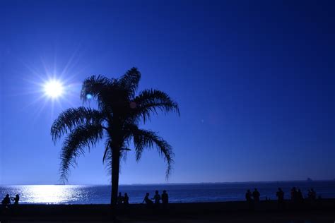 Free Images Beach Landscape Sea Coast Tree Nature Ocean