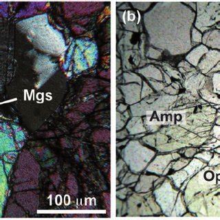 Photomicrographs Transmitted Light Of Representative Minerals In The