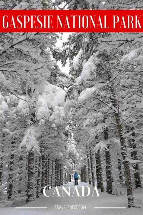 Gaspesie National Park Photo Gallery - Winter snowshoeing and skiing